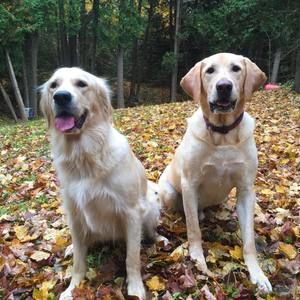 Meet your Posher, Dee